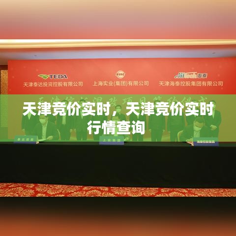 天津競價實時，天津競價實時行情查詢 