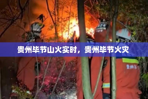 貴州畢節(jié)山火實(shí)時(shí)，貴州畢節(jié)火災(zāi) 