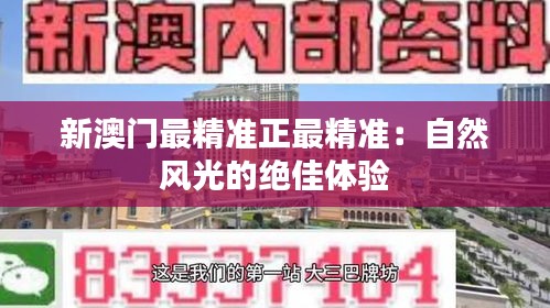 新澳門(mén)最精準(zhǔn)正最精準(zhǔn)：自然風(fēng)光的絕佳體驗(yàn)