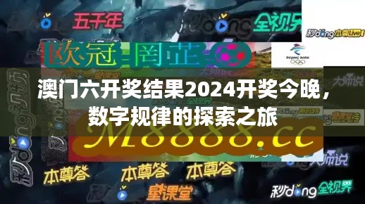 澳門六開獎結果2024開獎今晚，數(shù)字規(guī)律的探索之旅