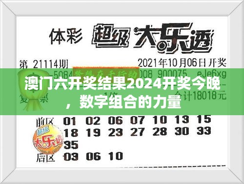 澳門(mén)六開(kāi)獎(jiǎng)結(jié)果2024開(kāi)獎(jiǎng)今晚，數(shù)字組合的力量