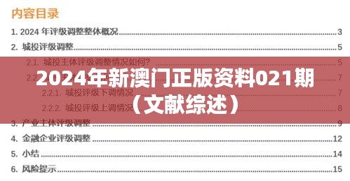 2024年新澳門正版資料021期（文獻綜述）