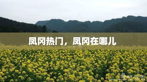 鳳岡熱門，鳳岡在哪兒 