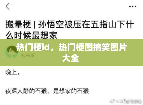 熱門梗id，熱門梗圖搞笑圖片大全 