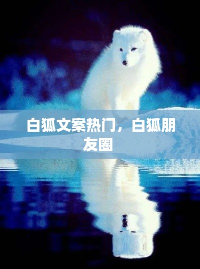 不翼而飛 第3頁