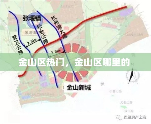 金山區(qū)熱門，金山區(qū)哪里的 