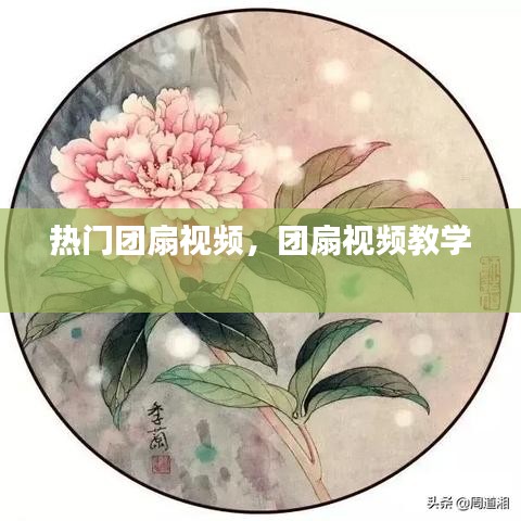 熱門團扇視頻，團扇視頻教學 