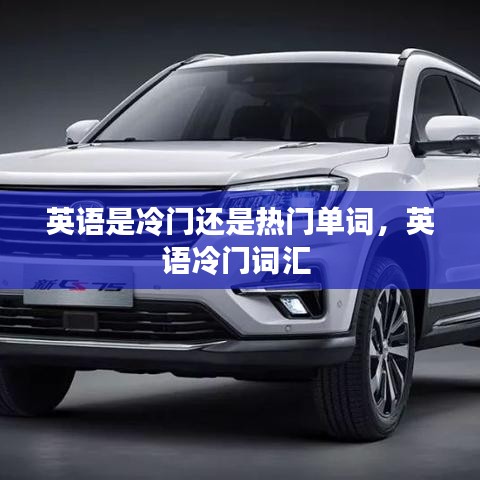英語(yǔ)是冷門(mén)還是熱門(mén)單詞，英語(yǔ)冷門(mén)詞匯 