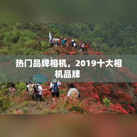 熱門品牌相機，2019十大相機品牌 
