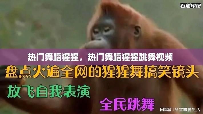 熱門舞蹈猩猩，熱門舞蹈猩猩跳舞視頻 