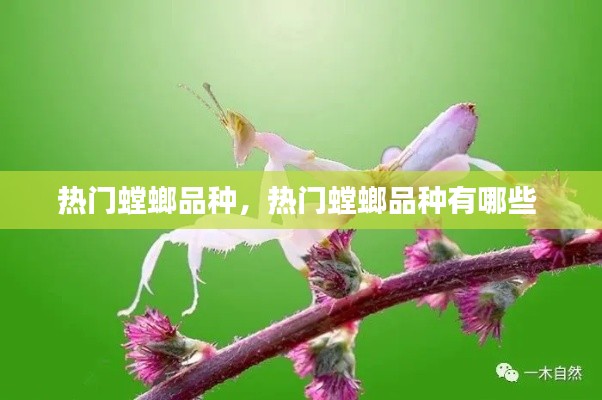 民貴君輕 第4頁(yè)