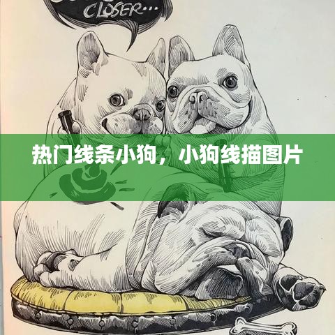 熱門線條小狗，小狗線描圖片 