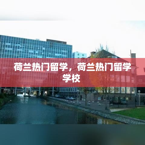 荷蘭熱門留學(xué)，荷蘭熱門留學(xué)學(xué)校 
