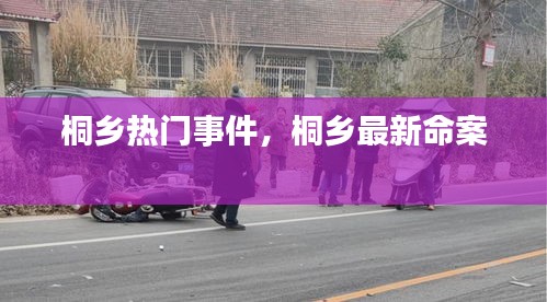 桐鄉(xiāng)熱門事件，桐鄉(xiāng)最新命案 