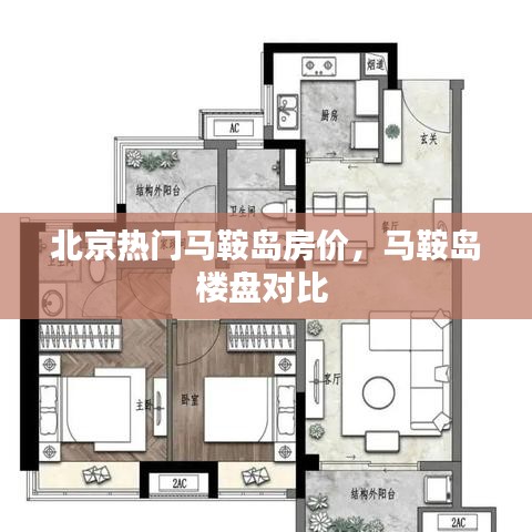 計(jì)日程功 第4頁