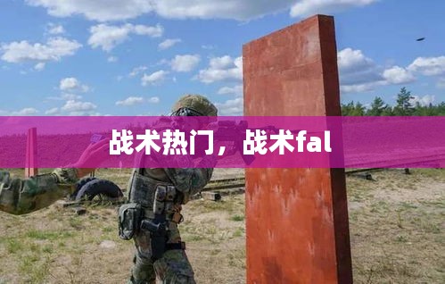 戰(zhàn)術(shù)熱門，戰(zhàn)術(shù)fal 