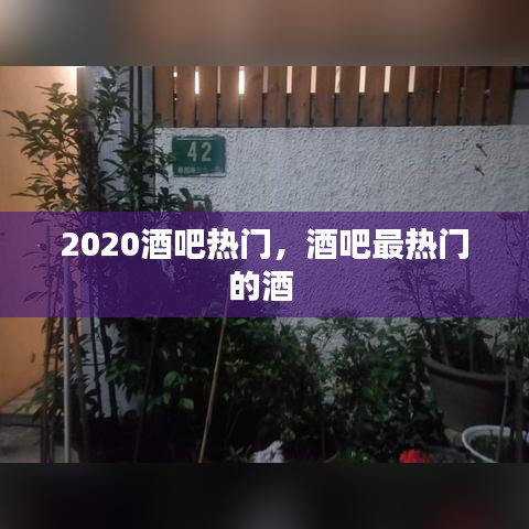 2020酒吧熱門，酒吧最熱門的酒 