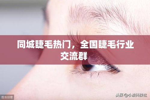 同城睫毛熱門，全國睫毛行業(yè)交流群 