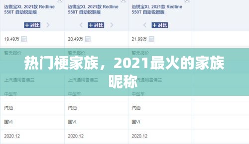 熱門梗家族，2021最火的家族昵稱 