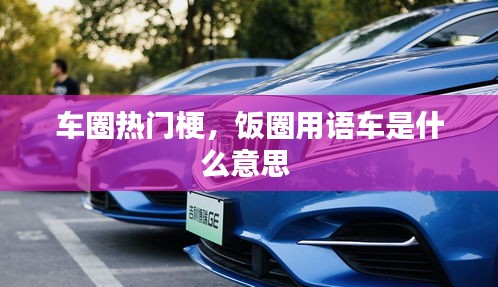 車圈熱門梗，飯圈用語車是什么意思 