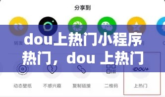dou上熱門(mén)小程序熱門(mén)，dou 上熱門(mén) 
