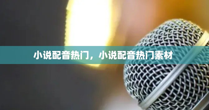 小說配音熱門，小說配音熱門素材 