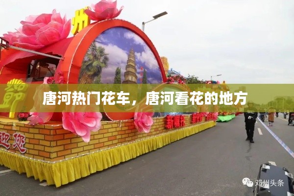 唐河熱門(mén)花車(chē)，唐河看花的地方 