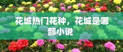 花城熱門(mén)花種，花城是哪部小說(shuō) 
