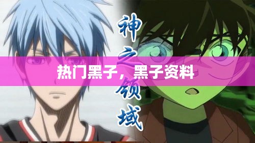 熱門黑子，黑子資料 