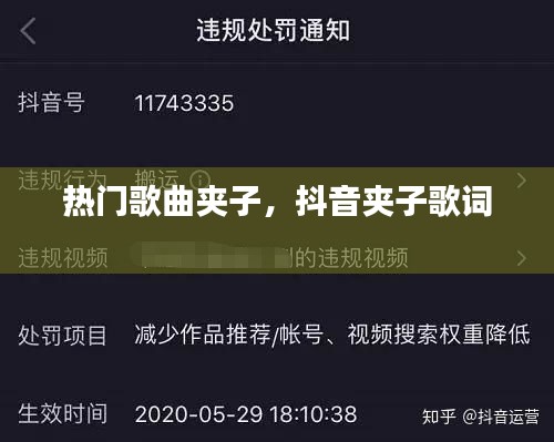 熱門歌曲夾子，抖音夾子歌詞 