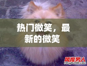 飛禽走獸 第3頁