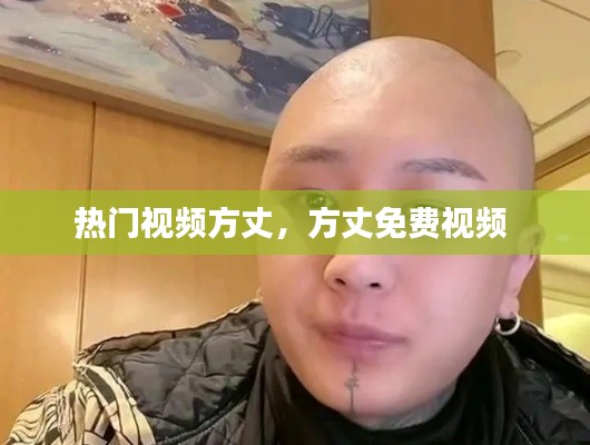 熱門視頻方丈，方丈免費視頻 