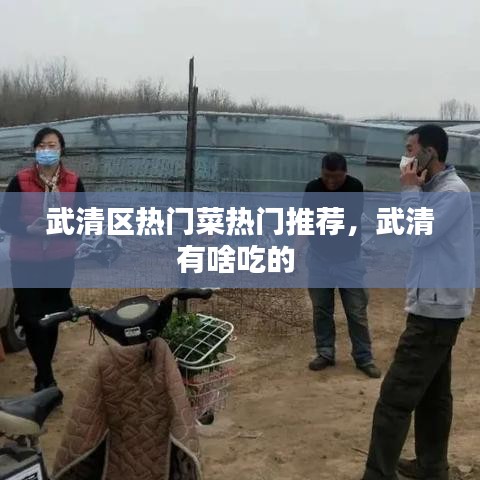 武清區(qū)熱門菜熱門推薦，武清有啥吃的 