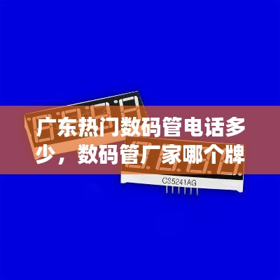 天荒地老 第4頁(yè)