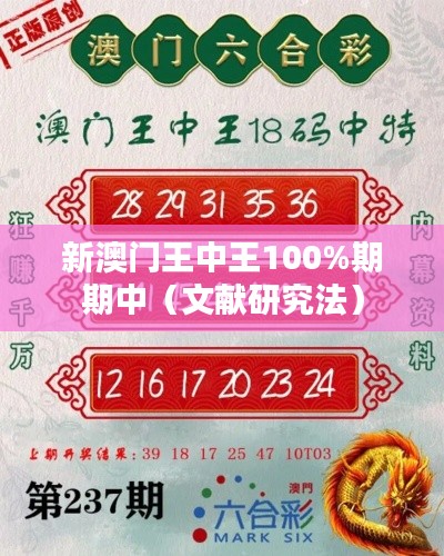 新澳門王中王100%期期中（文獻(xiàn)研究法）