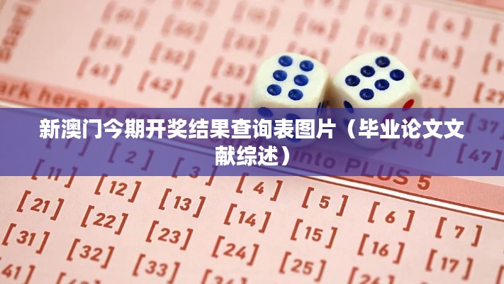 新澳門今期開獎(jiǎng)結(jié)果查詢表圖片（畢業(yè)論文文獻(xiàn)綜述）