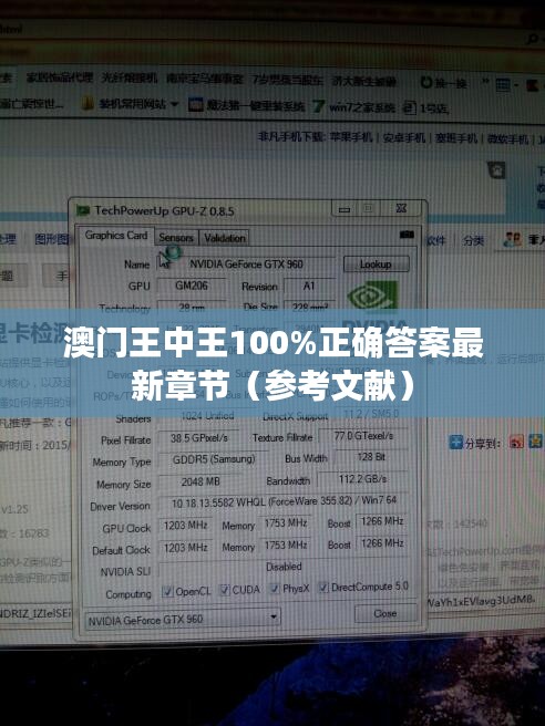 澳門王中王100%正確答案最新章節(jié)（參考文獻）