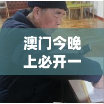 澳門今晚上必開一肖（參考文獻）