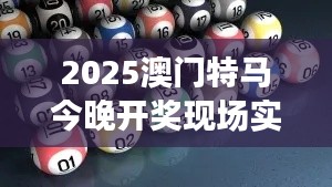 2025澳門特馬今晚開獎現(xiàn)場實況（知云文獻翻譯）