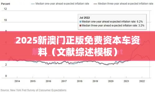 2025新澳門正版免費(fèi)資本車資料（文獻(xiàn)綜述模板）