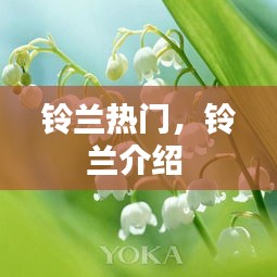 廢寢忘食 第4頁(yè)