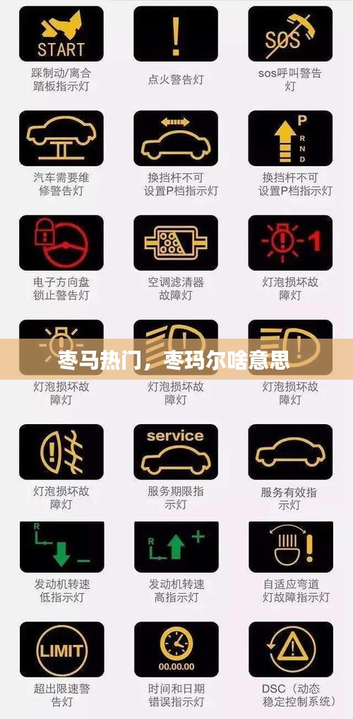 棗馬熱門，棗瑪爾啥意思 