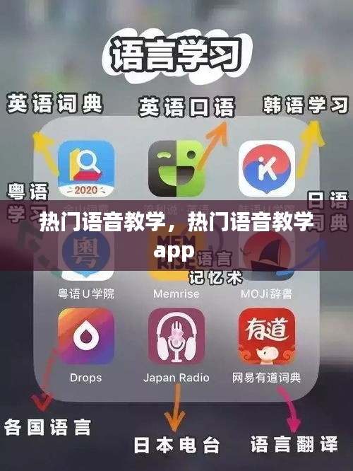 熱門語(yǔ)音教學(xué)，熱門語(yǔ)音教學(xué)app 
