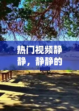 熱門視頻靜靜，靜靜的視頻大全 風景 