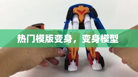 熱門模版變身，變身模型 