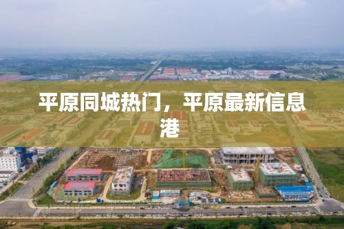 平原同城熱門，平原最新信息港 
