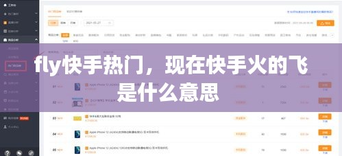 fly快手熱門，現(xiàn)在快手火的飛是什么意思 