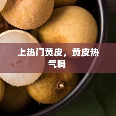 上熱門黃皮，黃皮熱氣嗎 