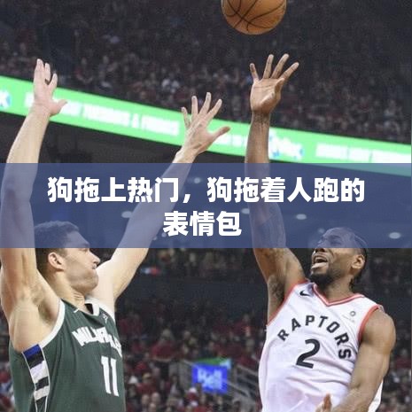 狗拖上熱門(mén)，狗拖著人跑的表情包 