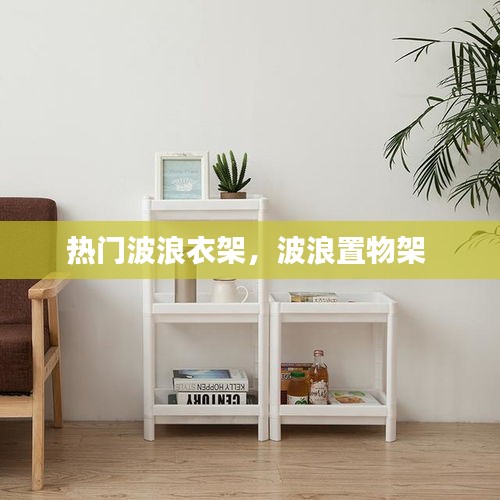 熱門波浪衣架，波浪置物架 